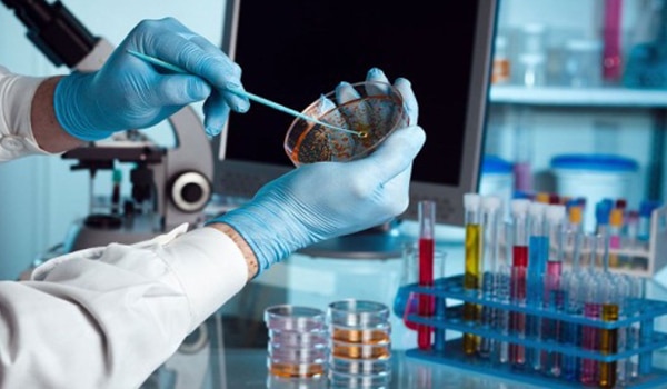 Cura del Cáncer > Oscuro Negocio impide los avances 3 cura del cancer