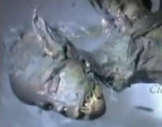Hada de Tultitlán México — cuerpo humanoide con alas