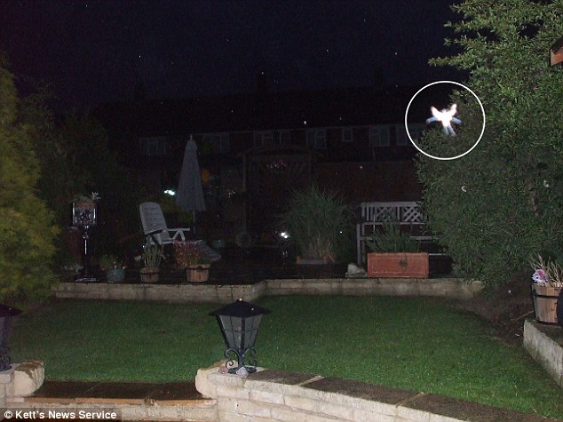 Foto Phylis Bacon seres alados iluminados sur de Londres