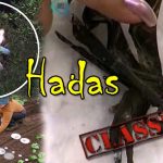 hadas pruebas existen