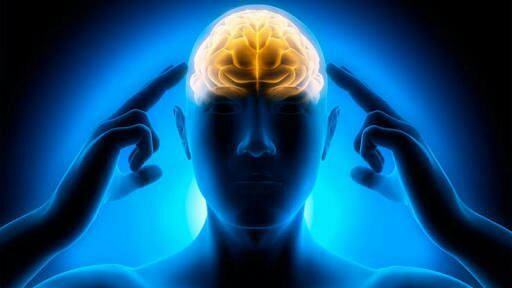 Cuerpo mental: mente, transmutación y ley de atracción