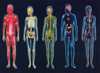 Cuerpo humano y los cinco niveles astrales y etéricos