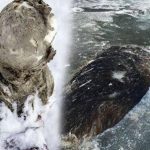6 Descubrimientos y enigmas bajo el hielo que te sorprenderán 2 semana 5 miercoles