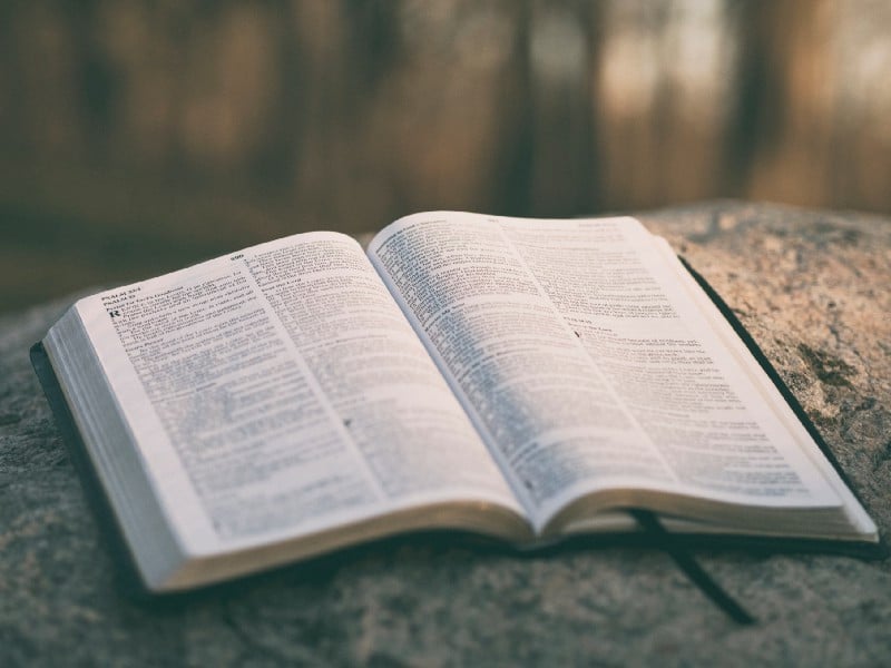 Biblia: Christine Hewitt y la frase sobre el peor libro