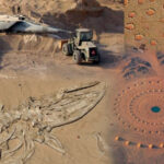 6 cosas más extrañas encontradas en el desierto 5 cosas más extrañas encontradas en el desierto