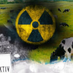 leche radioactiva de Chernobil0