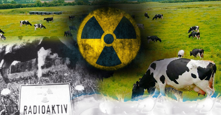 leche radioactiva de Chernobil0