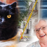 supersticiones de las abuelas que son ciertas