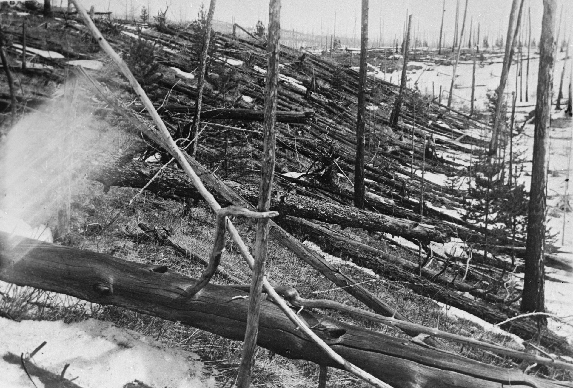 10 misterios de Rusia entre ciencia y leyenda 3 Árboles abatidos en Tunguska tras el evento de 1908