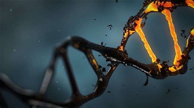 Helice de ADN: catalogo genomico Earth BioGenome Project