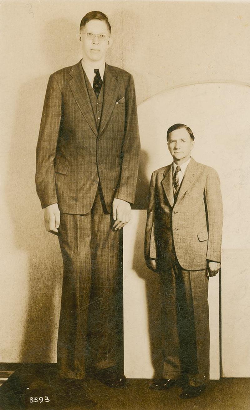 Robert Pershing Wadlow adulto — el hombre más alto del mundo según Guinness