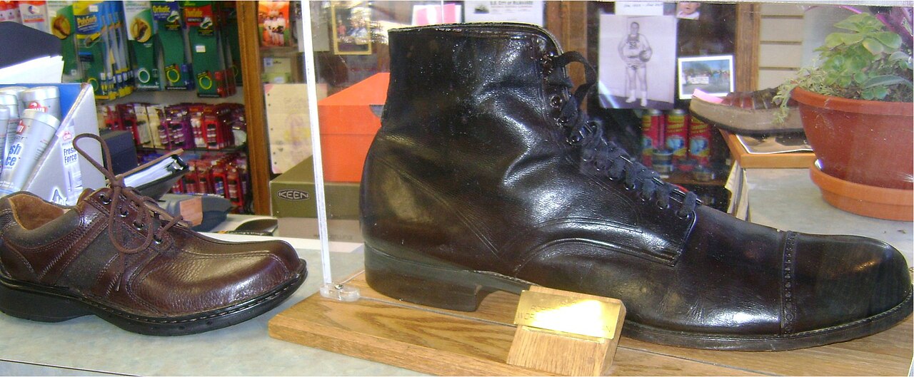 Zapato de Robert Wadlow comparado — ampollas y la muerte del hombre más alto