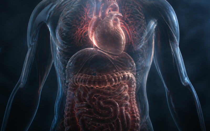 5 cosas increíbles acerca de nuestro cuerpo que no conocías